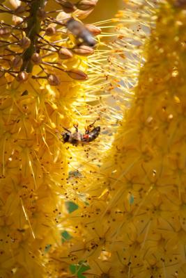 Прикрепленное изображение: IMG_9263.jpg